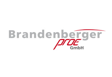 Firmenauftritt für die Engineeringfirma Brandenberger proe gmbh. Jonadesign Jona Design Zürich